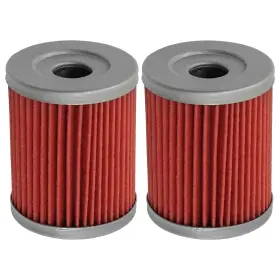 Fl101a1038 Caltric For Kawasaki Klx125 Klx125l 2003 2004 2005 2006 Oil Filter 2-pack