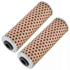 Fl107a1012 Caltric 2 Pack Oil Filter For Ktm 950 Adventure S Us 04-06