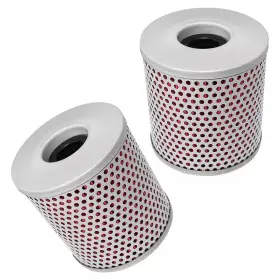 Fl126a1008 Caltric 2 Pack Oil Filter For Kawasaki Z1 900 Kz900a Kz900b Ltd 1973 1974 1975 1976 1977
