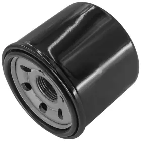 Fl133a1003 Caltric Oil Filter For Triumph America 865 Bonneville T100 800 2001-2004 Motorcycle