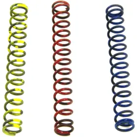 13-9222 E.r.t. Products Oil Pump Spring Kit -