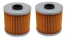 16099-004 Factory Spec 2 Fs-700 Pack Of Oil Filters For Kawasaki Kl600 Klr650 Klx650 Replaces Oem#