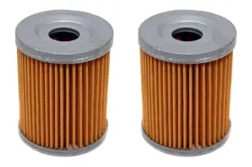 16510-25c00 Factory Spec 2 Fs-701mx Pack Of Oil Filters For Suzuki Replaces Oem#s 16510-24501 And