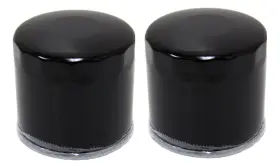 Fs-706 Factory Spec 2 Brand Oil Filters Pack For Suzuki Motorcycle Street Bike