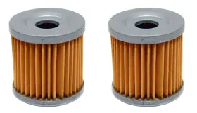 Fs-711a Factory Spec 2 Pack Oil Filters For Suzuki Dr-z400 Dr-z400s Dr-z400sm And Fits Kawasaki Klx400r