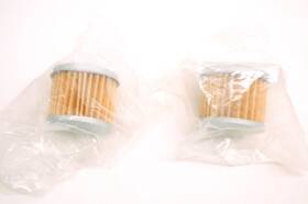 Filtron 30-101 Factory Flow Oil Filter Qty 2 Nos