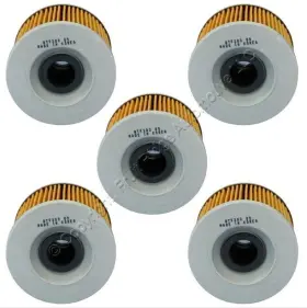 Ml16809 Fram Ch6009 5 Purolator Motorcycle Engine Oil Filters Replacement