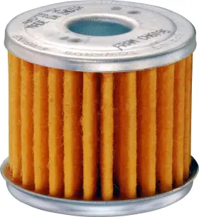 Ch6096 Fram Oil Filter - Standard