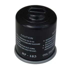 6.000.218 Gopowersports Oil Filter 150cc