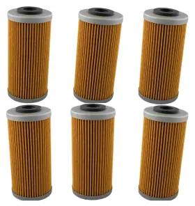 Hf611x6 Hiflofiltro Hf611 Oil Filter - 6 Pack For 09-13 Husqvarna Sm/tc/te Bmw G450x
