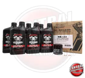 Kh-123 Klotz Kl123 Oil Change Kit Victory Thunderstroke 20w40 Filter Washer