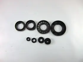 0935-0052 Moose Racing 2000 00 Kawasaki Kx250 Kx 250 Oil Seals Seal Not Complete A Set Lot 2