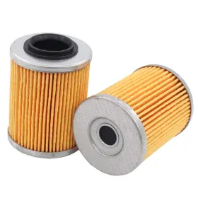 08001-13004 Motoku Pack Of 2 Engine Oil Filter For Cf-moto Cforce Zforce Uforce 400 500