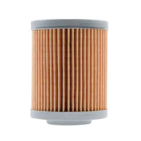 Nt-152b6c4-838ae3 Neutron Oil Filter For Can-am Defender Hd10 Dps 2016-2020