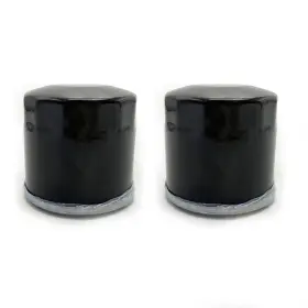15200-003-0000 Partsatoz 2 X Oil Filter Hisun Utv 700 500 400 Massimo Bennche Coleman Ys Hs Msu