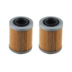 Amsupmh2305 Supermotorparts Pack Of 2 Engine Oil Filter For Cf-moto Cforce Zforce Uforce
