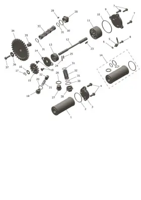 T1210360 Triumph - Oil Strainer