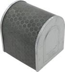 Hiflofiltro Replacement Air Filter - Honda HFA1509 New. Price: $24.99.