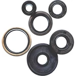 Vertex Oil Seal Set Arctic Cat 650 4X4 H1 Mud Pro 2010-2011 New. Price: $17.84.