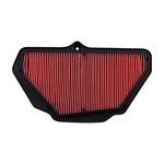 Hiflofiltro Air Filter - HFA2925 New. Price: $28.11.