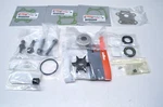 Yamaha Oem F70 4-STROKE Water Pump Repair Kit 6CJ-W0078-00-00 New. Price: $98.95.