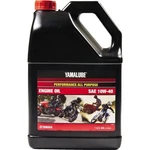Yamalube Purpose 10W40 Performance Oil Gallon New. Price: $34.09.