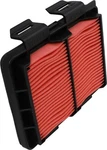 Hiflofiltro Air Filter #HFA1215 For Honda Crf 250 New. Price: $18.61.