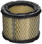 Cummins Nw 1400495 Onan Air Filter Element New. Price: $30.65.