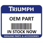Qty 22 Triumph Large O-ring T3600025-T0301 New. Price: $24.99.