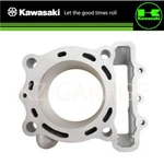 Kawasaki Genuine KX250F KX252AHF Engine Motor Cylinder Bore Jug 11005-0711 New. Price: $319.98.