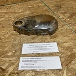 1998-2014 Yamaha Star Xvs 650 Right Engine Crankcase Cover 4TR-15421-00 Used. Price: $139.99.
